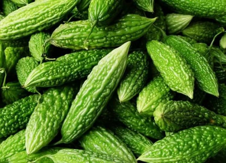 Melón Amargo ¿Qué es y que propiedades tiene? Cultura Vegana