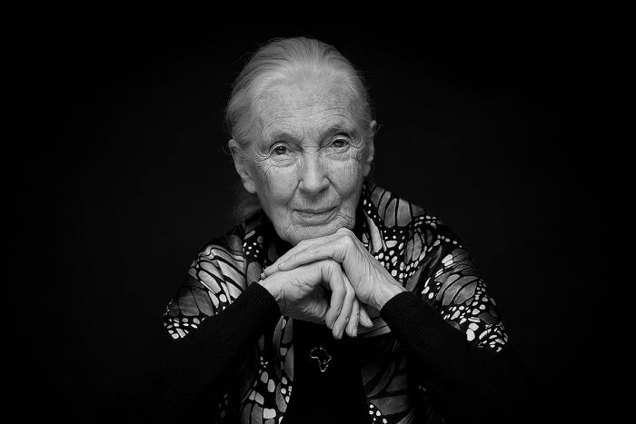 Carta de Jane Goodall