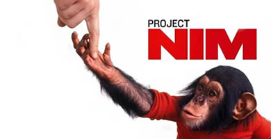 Proyecto NIM