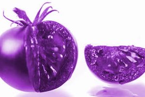 Tomates Púrpura