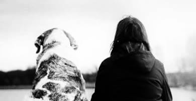 Nostalgia de lo animal