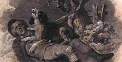 La dieta de Nicholson