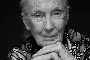 Palabras de Jane Goodall