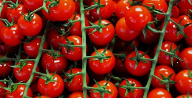 Cultivar tomates bajo demanda