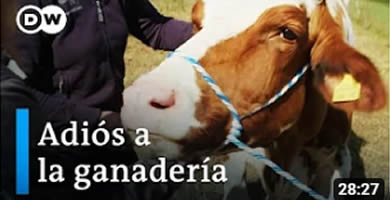 La ganadería en entredicho salvar animales del matadero